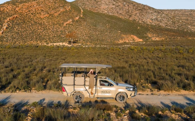 Cape Town Best of Aquila Safari Full Day Tour 