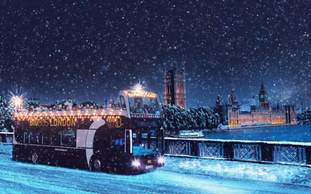 London: Christmas Lights Night Tour with Live Guide