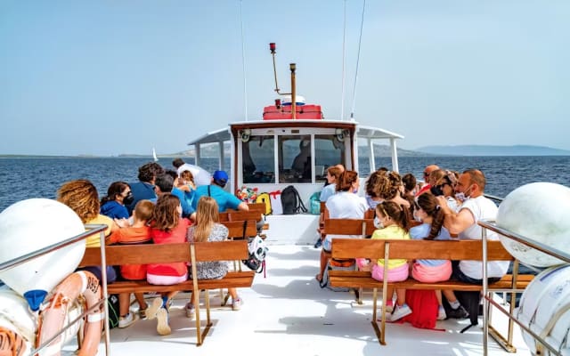 Boat Tour to Asinara from Stintino with Guided Tour