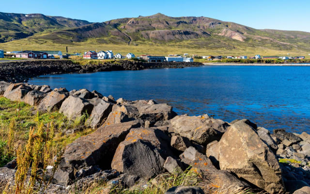 Puffins & Peaks: Borgarfjörður Eystri Tour from Seyðisfjörður
