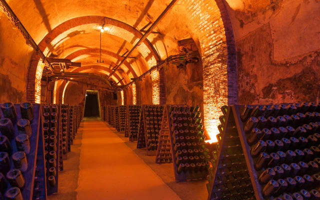 Private Champagne Wine Tour & Tastings from Epernay