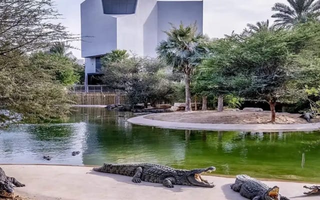 Dubai Crocodile Park Adventure