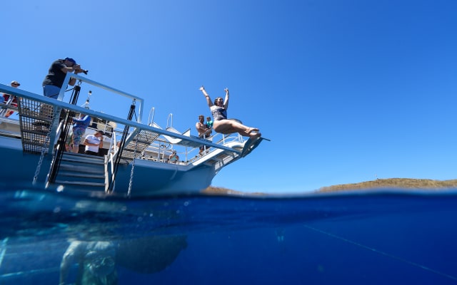 Molokini Snorkel Tour | Waterslide & Turtle Town (5 Hr)