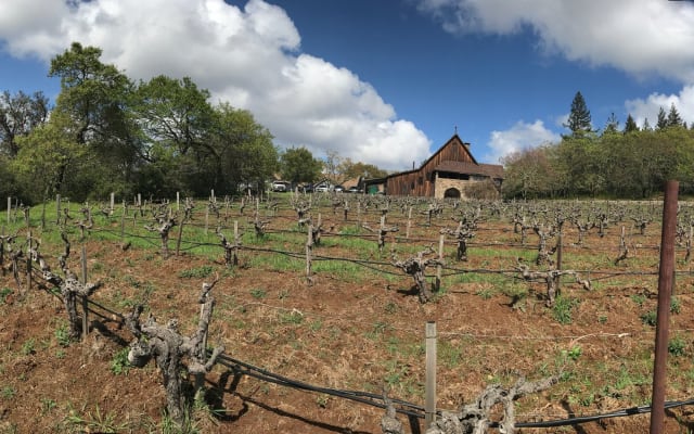 Hanzell Heritage Tour and Tasting