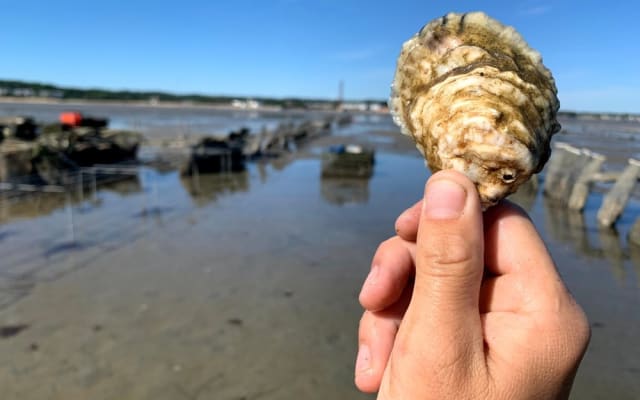 Bump 'N Brine Oyster Farm Tour