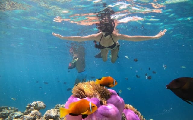 Maafushi full day tour with lunch 