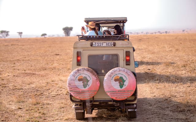 2 days Tanzania sharing budget camping safari package