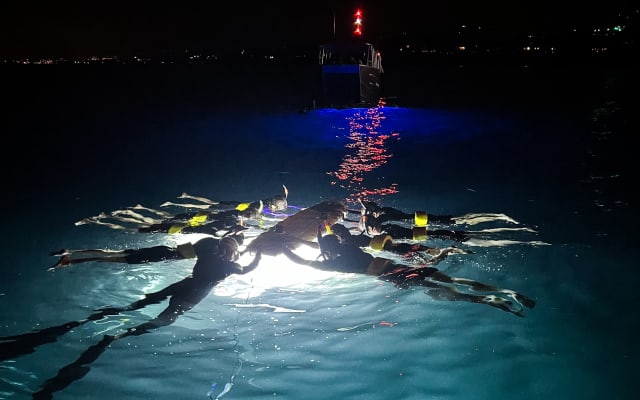 Combo Package Morning Snorkel and Manta Ray Snorkel in Kona