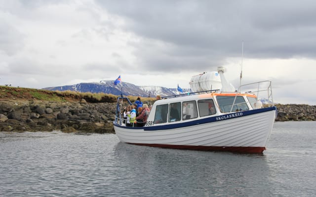 Puffins & People: A Reykjavik City & Boat Adventure