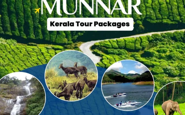 Kerala Munnar Tour Packages