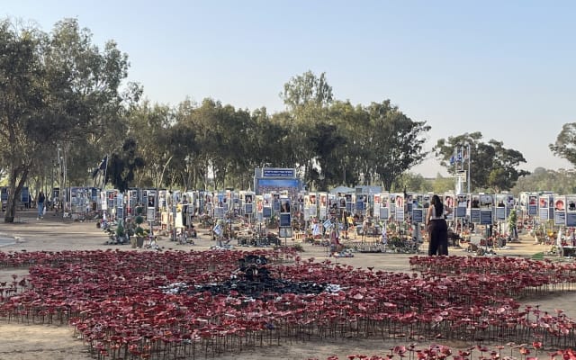Small-Group Gaza Border & Nova Festival Tour from Jerusalem