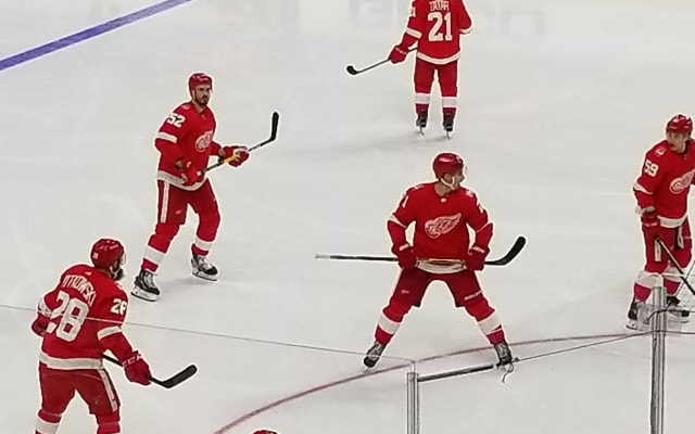 Detroit Red Wings Ice Hockey Game at Little Caesars Arena