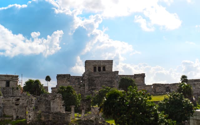 Tulum & Cenote Discovery