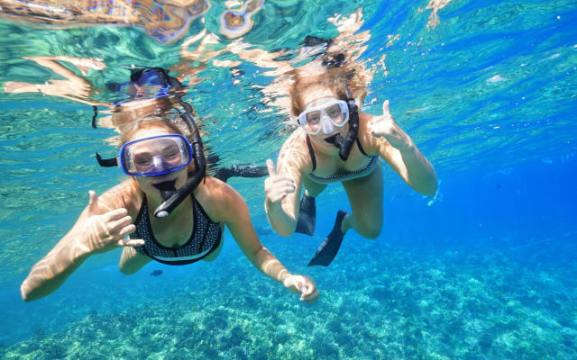 Captains Call Afternoon Snorkel Tour