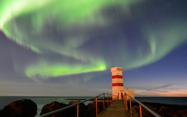 Northern Lights: Guided Bus Transfer & Tour