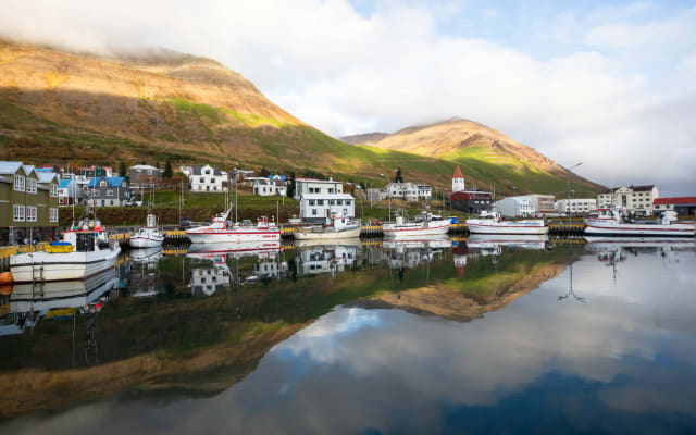 Private North Iceland Fjords & Horse Heritage Tour