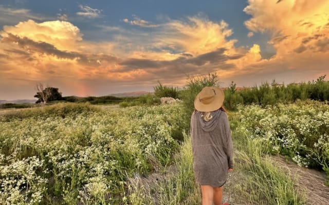 Wild Lines: Hikes for Creative Minds with Helena near Tahoe