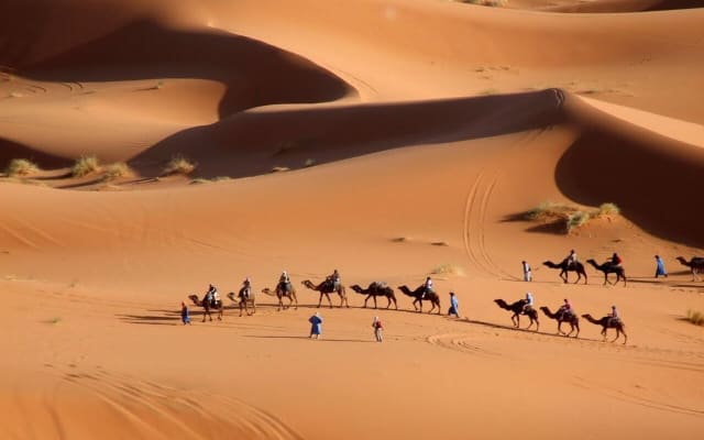 8 Day Morocco Tour From Casablanca