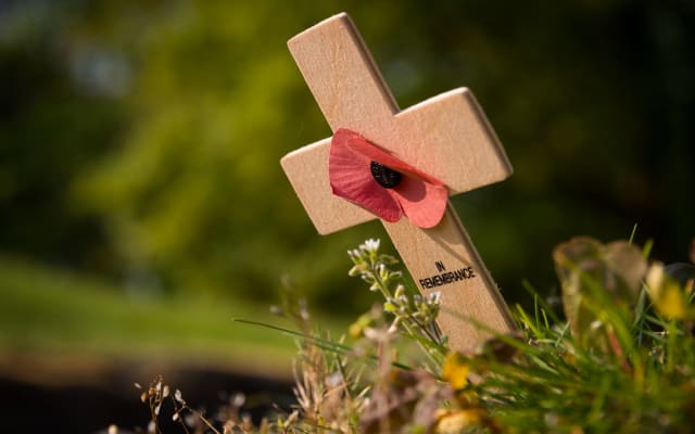 Vimy & Somme Battlefields private day trip from Arras