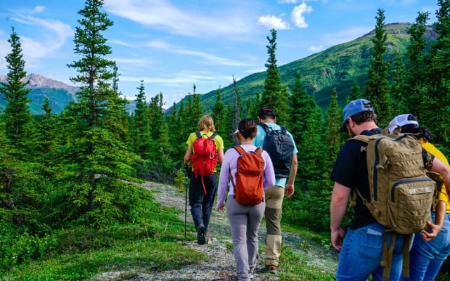 Wilderness Wonders Denali Hiking Tour