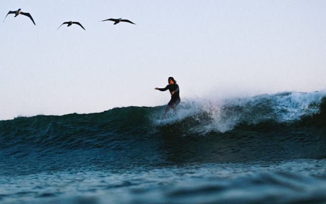 Private In-Water and Lifestyle Surf Photography Shoot
