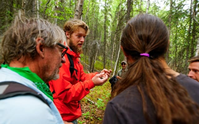 3 Hour Easy Denali Hiking Tour