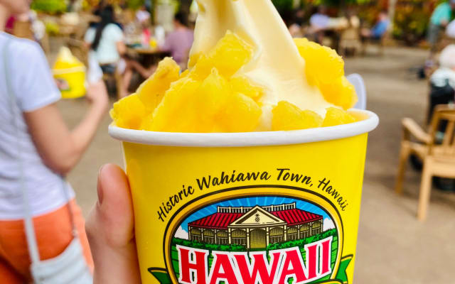 Private Pearl Harbor Tour & North Shore (Spanish/English)