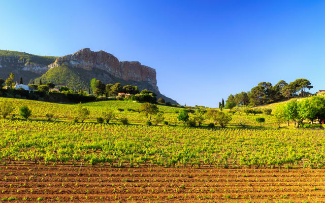 Provence Half-Day Wine Tasting Tour from Aix-en-Provence