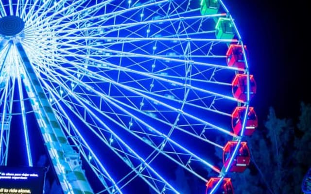 Scenic Miami Night Tour