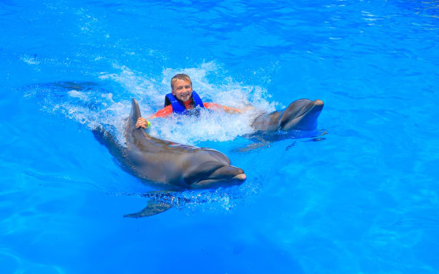 Las Caletas & Dolphin Swim Tour
