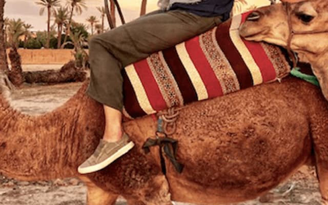 Agafay Desert Camel Ride and Quad Biking & Dinner with Show