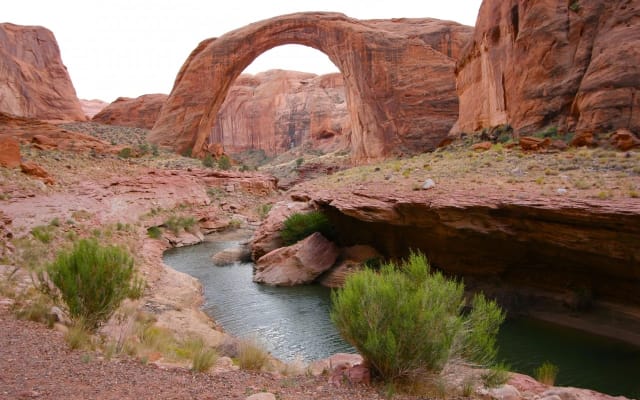 Lake Powell & Canyonlands National Park Airplane Tour