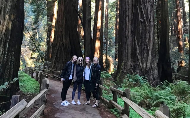 Muir Woods, Golden Gate Bridge & Sausalito Private Jeep Tour