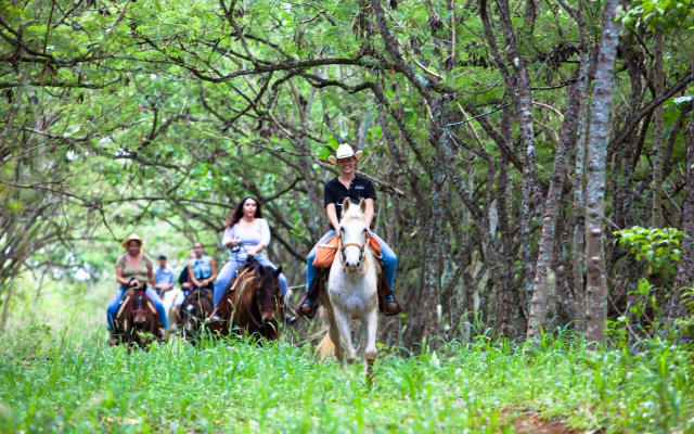 Horseback Riding + Zipline Package