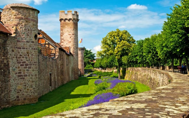 Obernai and Mont Sainte Odile Trip from Strasbourg (Private)
