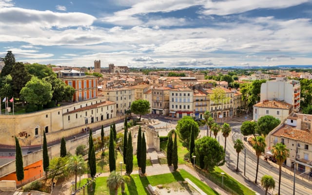 Montpellier Guided Walking Tour (private)