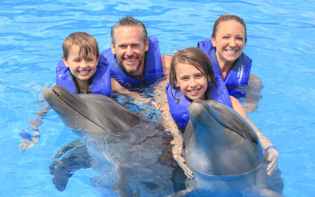  Dolphin Signature Swim