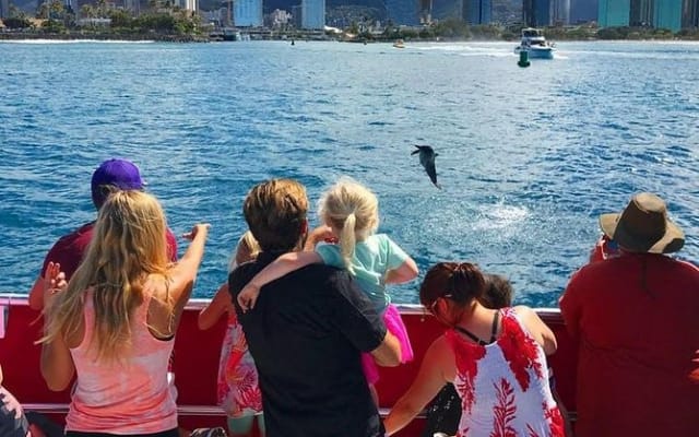 Waikiki Beach Glass Bottom Boat Cruise
