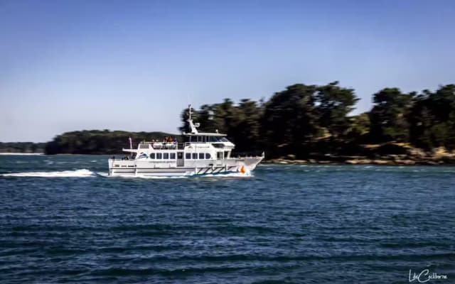 Tour du Golfe du Morbihan sans escale depuis Vannes