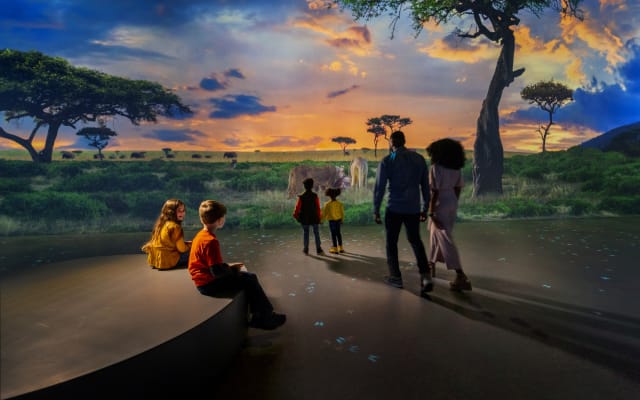 WILD: A Safari Experience