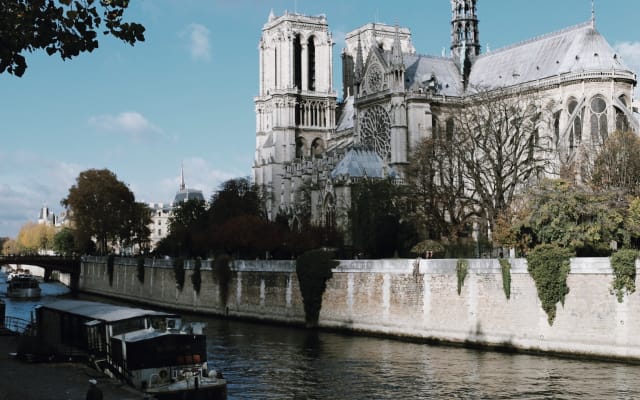 The History of Paris - City Center Guided Walking Tour & Notre-Dame Cathedral - Private