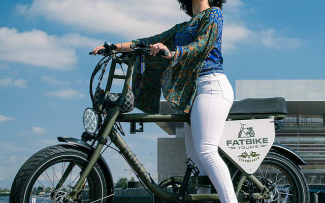  Fatbike Tours Copenhagen