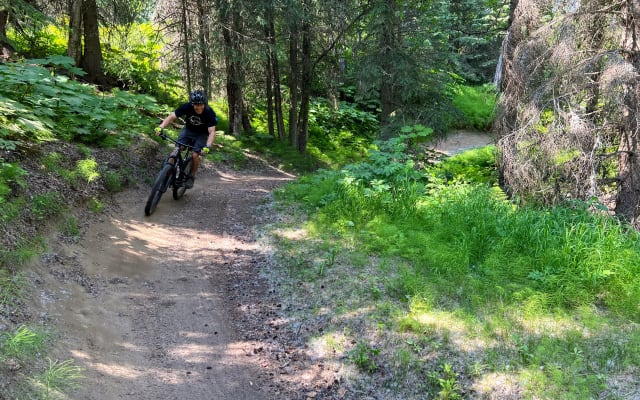 Anchorage Singletrack Sampler MTB Tour - Private