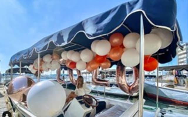 8 Passenger Electric Boat Rental