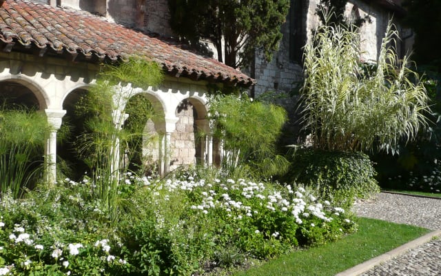Albi Guided Walking Tour (private)
