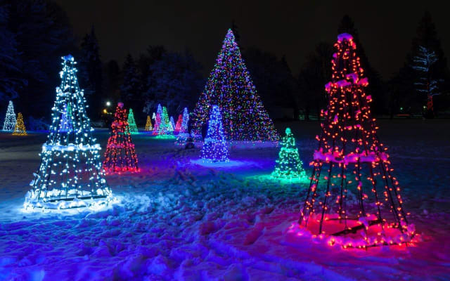 Festive Night on Niagara Holiday Lights Tour with Helicopter Ride