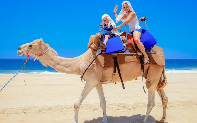 Outback and Camel Ride Safari