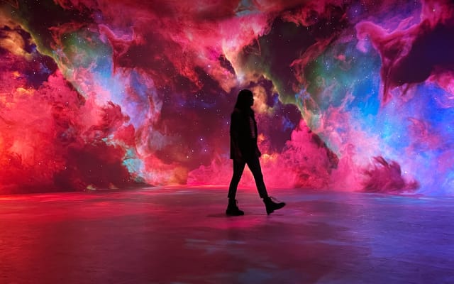 Illuminarium After Dark