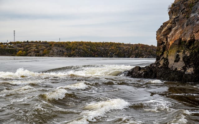 Best of Saint John Tour + Jet Boat 