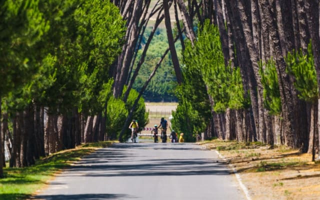 Stellenbosch Half Day Winelands Cycle Tour